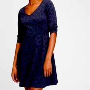 Gap fit and flare dress size ten, navy blue with black leopard print